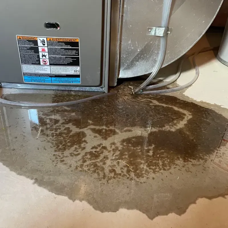 Appliance Leak Cleanup in Jefferson County, KY